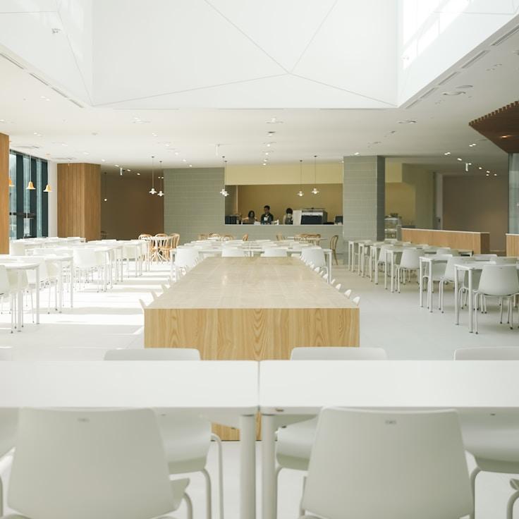 School choices for expat families in Toronto, Canada